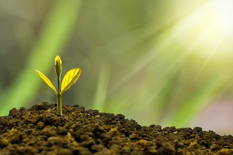 Wealth Management Image